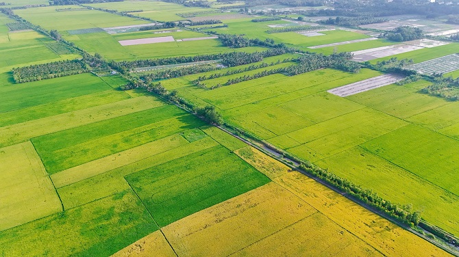 Bảo đảm nguồn nước ngọt cho sản xuất và dân sinh mùa khô. Bảo đảm nguồn nước ngọt cho sản xuất và dân sinh mùa khô.
