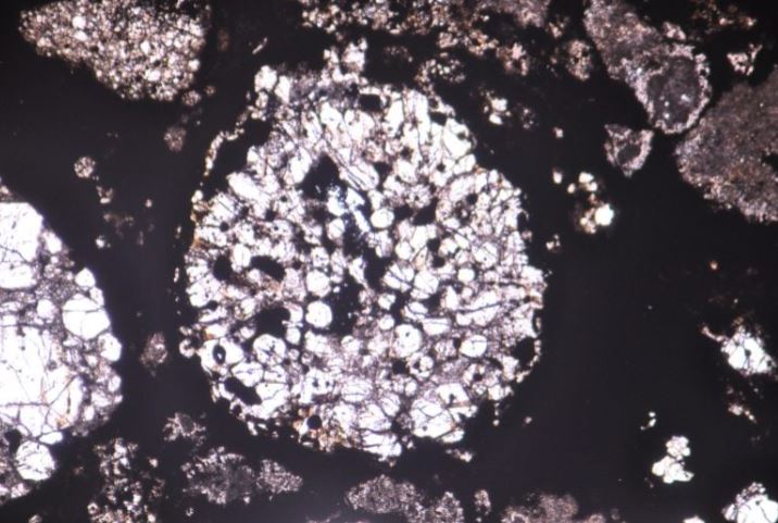 Các chondrule tròn có thể nhìn thấy trên một phần mỏng của thiên thạch Allende dưới kính hiển vi. Nguồn: Akira Miyake, Đại học Kyoto
