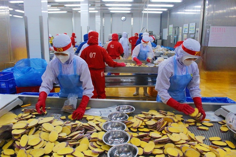 Sau sáp nhập, kinh tế Lâm Đồng tăng tốc rõ rệt. Sau sáp nhập, kinh tế Lâm Đồng tăng tốc rõ rệt.