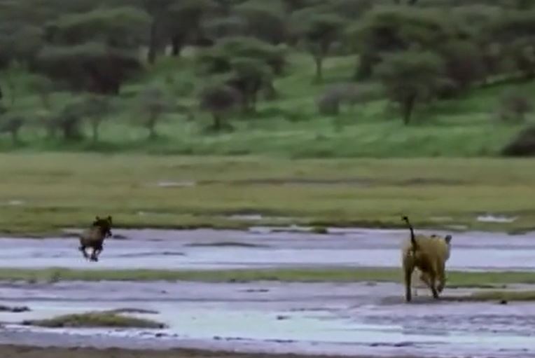 Ảnh cắt từ clip.