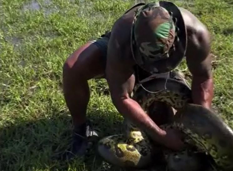 Ảnh cắt từ clip.