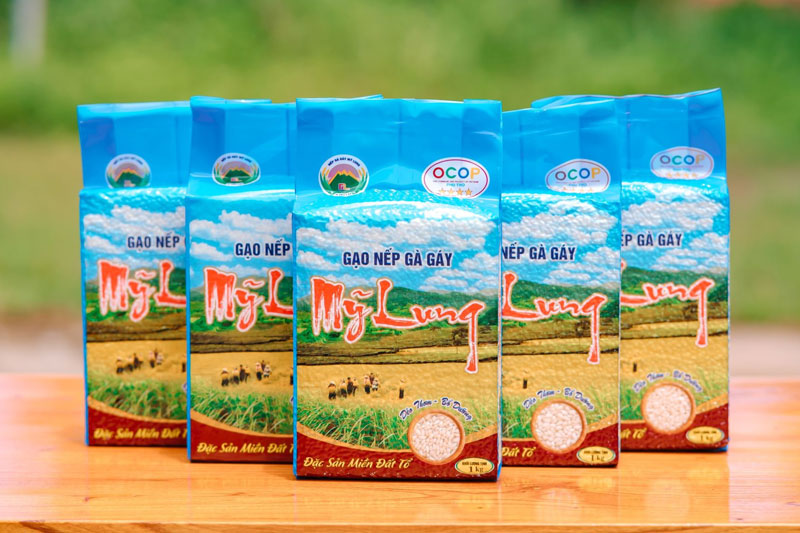 Gạo nếp gà gáy Mỹ Lung. Ảnh: HTX gạo nếp gà gáy Mỹ Lung. Gạo nếp gà gáy Mỹ Lung. Ảnh: HTX gạo nếp gà gáy Mỹ Lung.