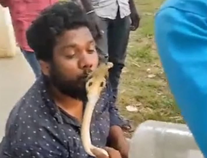 Ảnh cắt từ clip.