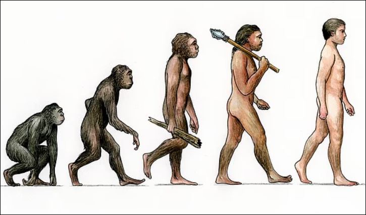 Hiện nay các nhà khoa học đã đưa ra câu trả lời cho lý do tại sao khỉ và các loài vượn khác vẫn tồn tại nếu con người tiến hóa từ chúng.
