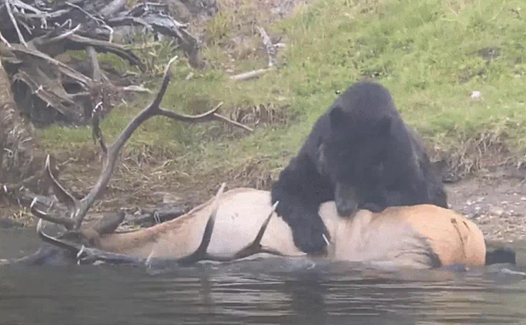 Ảnh cắt từ clip.