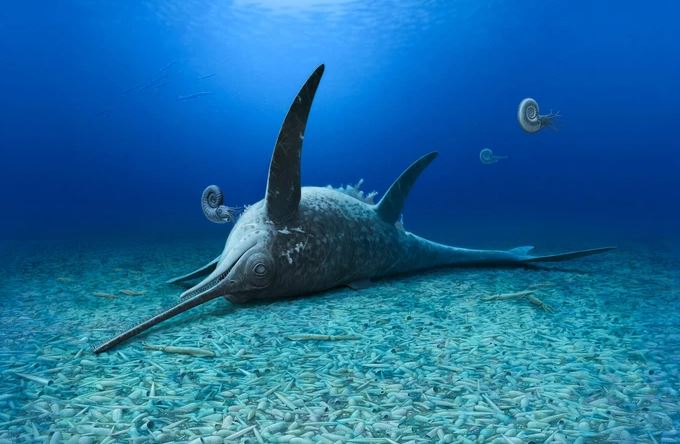 Quái vật biển Eurhinosaurus mistelgauensis khi còn sống - Ảnh: Andrey Atuchin