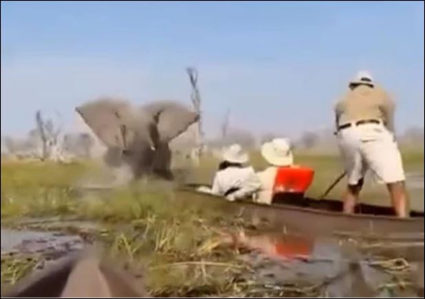 Ảnh cắt từ clip.