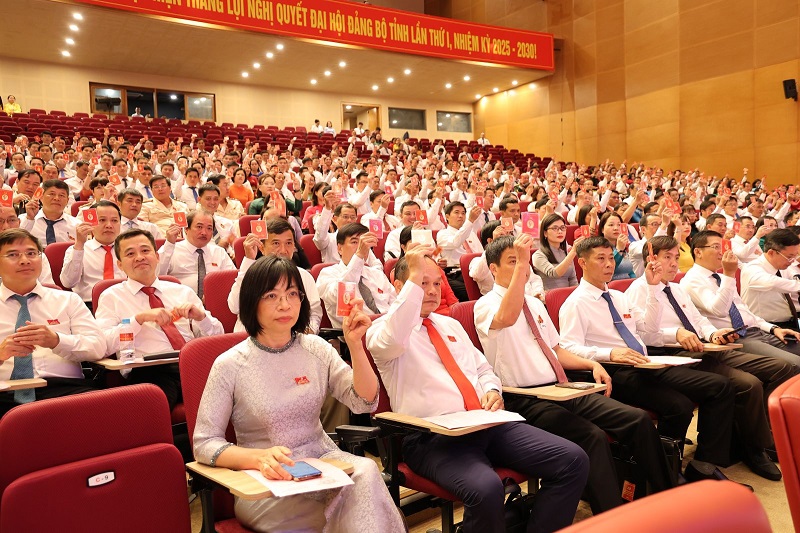 Đại biểu biểu quyết thông qua chương trình đại hội.