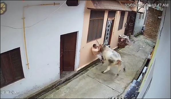 Ảnh cắt từ clip.