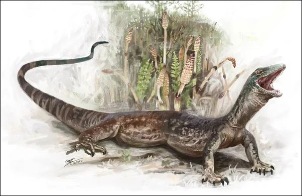 Sinh vật có cấu trúc giải phẫu gây bối rối cho giới khoa học Breugnathair elgolensis - Ảnh: BẢO TÀNG QUỐC GIA SCOTLAND