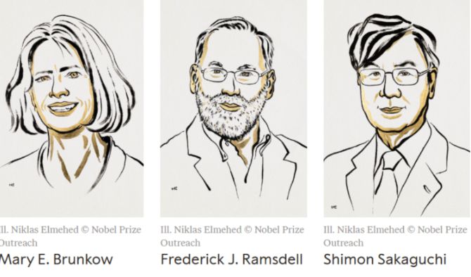 Ba nhà khoa học đoạt giải Nobel Y Sinh 2025.