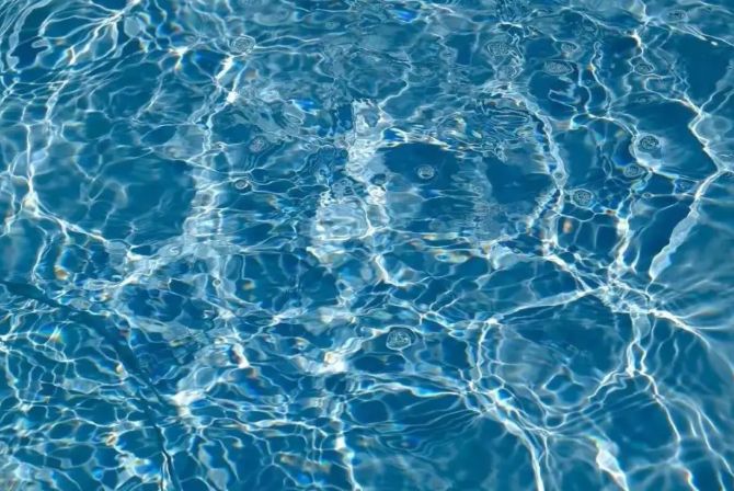 Tính chất đặc biệt của nước ở 4 độ C đã cứu vớt sự sống của nhiều sinh vật.