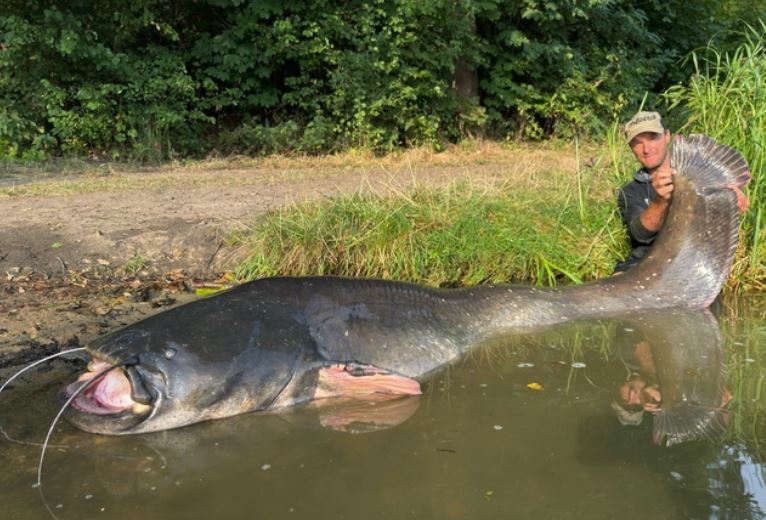 Cận cảnh con cá trê mà Jakub Vágner câu được.