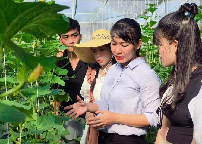 +ảnh 1: Chị Lê Ngọc Hiền chủ nông trại Peace Farm ở tỉnh Vĩnh Long đang chia sẻ kỹ thuật trồng trồng dưa lưới.