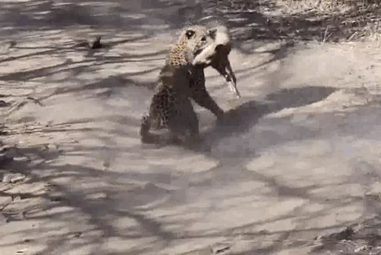 Ảnh cắt từ clip.