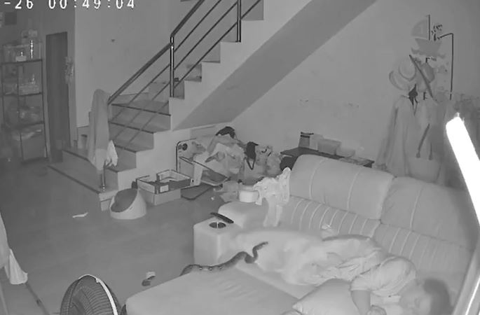 Ảnh cắt từ clip.