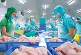 Thương mại quốc tế biến động, thuỷ sản Việt có thể bứt phá? 