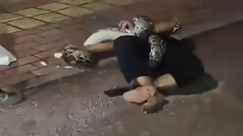 CLIP: Hãi hùng trước cảnh trăn siết chặt người say rượu trên đường