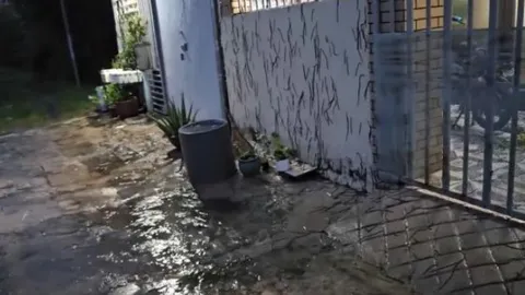 Clip: Cận cảnh hàng nghìn con giun chui lên mặt đất, leo tường nhà ở Vũng Tàu gây kinh hãi