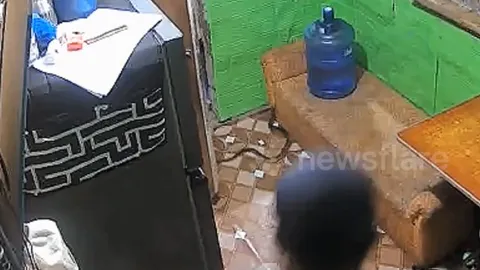 CLIP: Mở cửa vào nhà, người đàn ông suýt bị rắn hổ mang tấn công