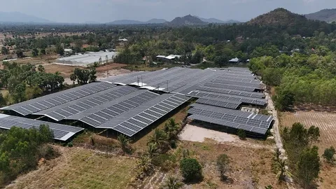 Làm giàu từ mô hình sản xuất nông nghiệp kết hợp điện mặt trời