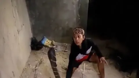 CLIP: Dùng tay không bắt rắn hổ mang chúa 'khổng lồ', người phụ nữ nhận cái kết khiến người xem 'vỡ tim'