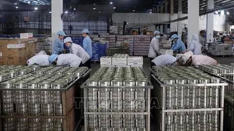 Ngân hàng dự phòng kịch bản ứng phó tác động thuế quan Hoa Kỳ