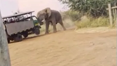 CLIP: Voi rừng nổi điên, hất tung xe khiến du khách khiếp vía