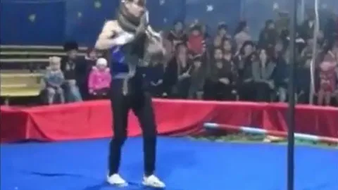 CLIP: HLV xiếc bị trăn siết cổ đến chết ngay giữa sân khấu trước hàng trăm khán giả