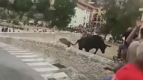 CLIP: Bò tót 580kg lao khỏi lan can, nhảy từ độ cao 15 mét khiến đám đông kinh hoàng