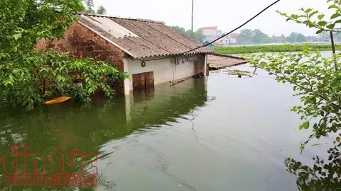 Tạo sinh kế bền vững cho người dân sau thiên tai: Bài 1: Thích ứng với diễn biến khó lường của thời tiết