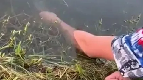 CLIP: Chàng trai dùng tay không câu cá khiến cư dân mạng trầm trồ