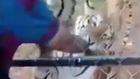 CLIP: Liều lĩnh vuốt ve hổ khi cho ăn, người đàn ông phải trả giá bằng cả tính mạng