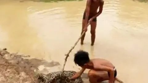 CLIP: Thót tim cảnh hai bé trai vô tư chơi đùa với trăn khổng lồ dưới vũng nước