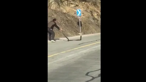 CLIP: Màn đối đầu nghẹt thở giữa tài xế ô tô và rắn hổ mang ngay giữa đường, cái kết bất ngờ