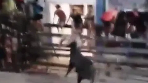 CLIP: Bị trêu chọc, bò đực nổi điên húc văng người đàn ông lên không trung