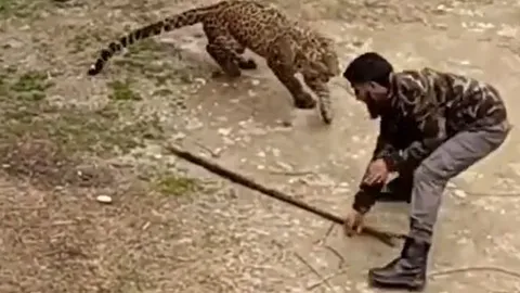 CLIP: Người đàn ông bị báo hoa mai tấn công và màn chống trả kinh hoàng