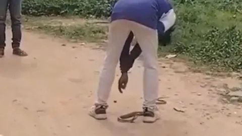 CLIP: Chọc rắn hổ mang lúc say, nam thanh niên nhận cái kết 'đắng'