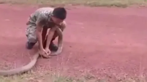 CLIP: Nam quân nhân dùng tay không khống chế rắn hổ mang chúa 'khủng' và cái kết 'thót tim'