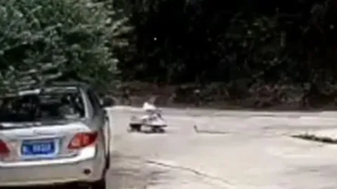 CLIP: Bố nhanh trí cứu bé trai thoát chết trong gang tấc trước rắn hổ mang