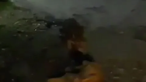 Video: Rùng mình cảnh báo hoa mai lặng lẽ ngoạm cổ chó nhà kéo đi trong đêm