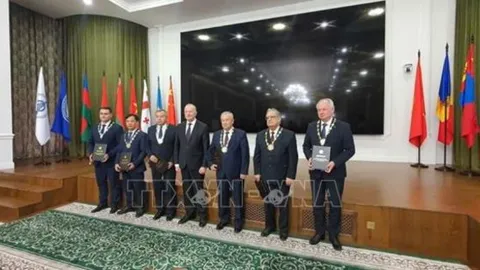 Nhà khoa học thứ hai của Việt Nam nhận bằng Viện sĩ Liên hiệp các viện hàn lâm khoa học thế giới