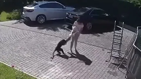 Khỉ điên loạn lao vào nhà tấn công bé gái 2 tuổi, mẹ liều mình giải cứu trong gang tấc