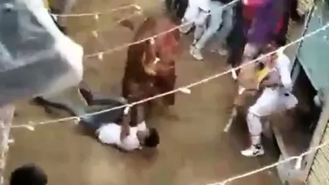 Bò đực húc nam thanh niên giữa phố, người dân liều mình đánh lạc hướng cứu nạn nhân