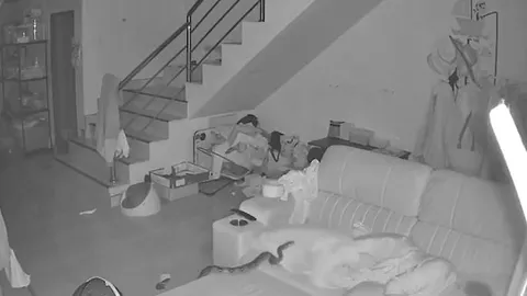 Cụ bà 70 tuổi hoảng hồn khi trăn dài 3 mét bò lên ghế sofa lúc đang ngủ