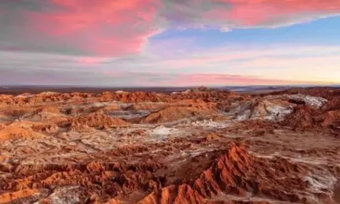 Sa mạc đã không mưa trong 400 năm và khô cằn nhất trên trái đất, nhưng tại sao vẫn có những thảm họa nở rộ! Lý do chính xác là gì?