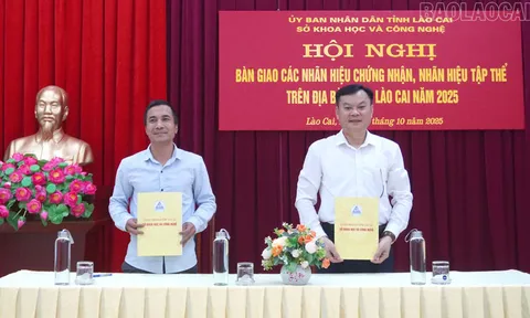 Lào Cai bàn giao 50 nhãn hiệu chứng nhận, nhãn hiệu tập thể cho các đơn vị, địa phương quản lý