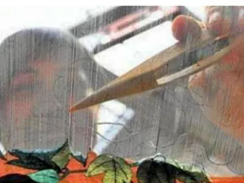 Bỏ 300 nghìn mua mớ 'giẻ rách', ông lão sốc nặng khi biết đó là báu vật giá hơn 3.300 tỷ đồng