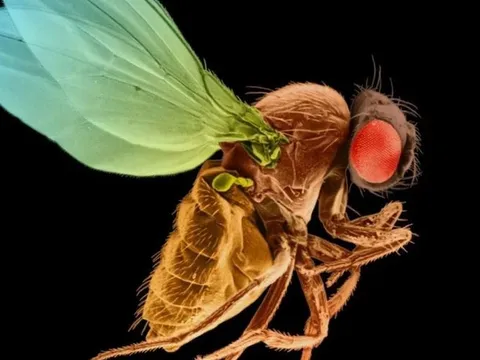 6 "khoảnh khắc" khoa học quan trọng trong năm 2024 sẽ định hình tương lai