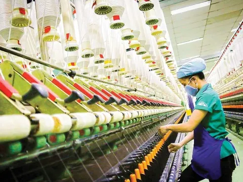  PMI ngành sản xuất sụt giảm tháng cuối năm 2024 